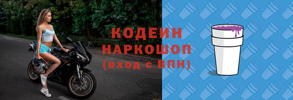 МДПВ Вяземский