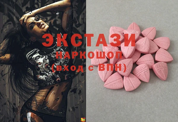 индика Чердынь