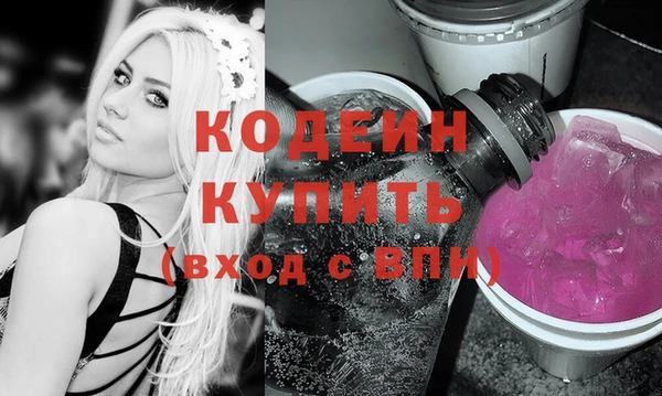 МДПВ Вяземский