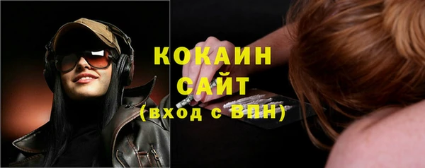 МДПВ Вяземский
