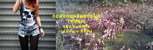 бошки Вязьма