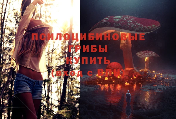 МДПВ Вяземский